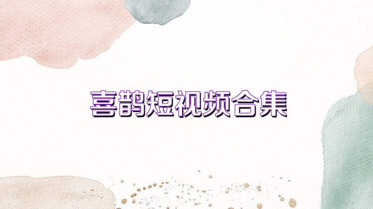 喜鹊短视频合集