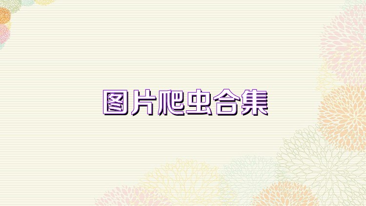 图片爬虫合集