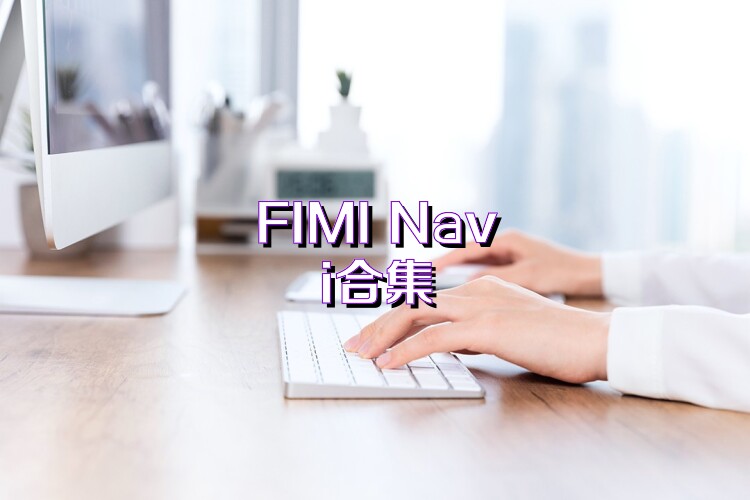 FIMI Navi合集