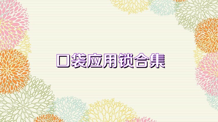 口袋应用锁合集