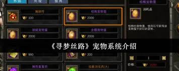 寻梦丝路宠物系统玩法攻略