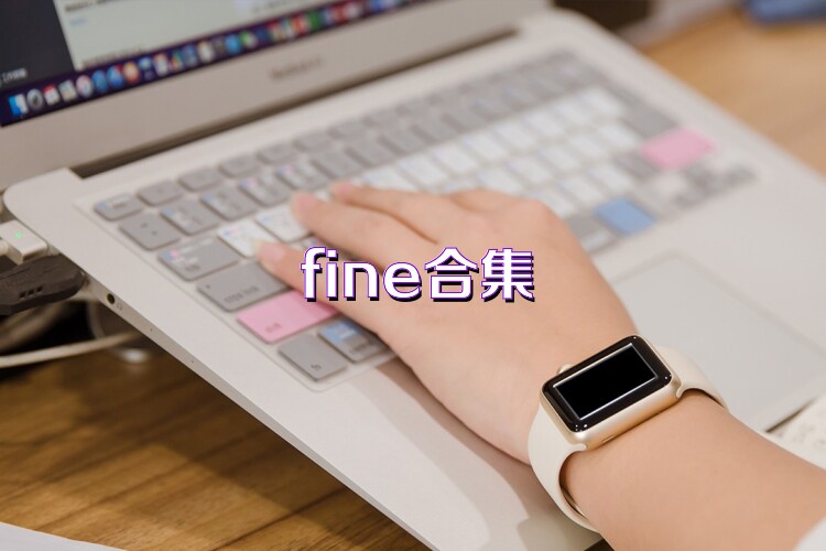 fine合集