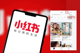 小红书电脑版