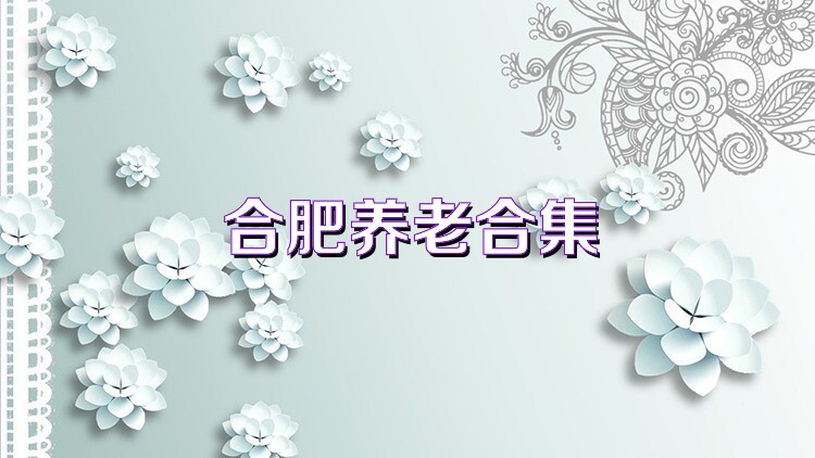 合肥养老合集