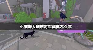 小猫咪大城市将军成就如何完成
