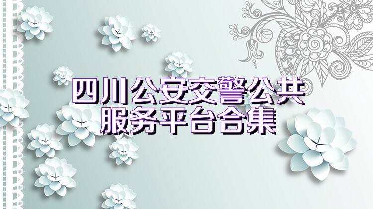 四川公安交警公共服务平台合集