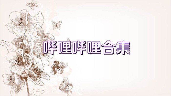 哔哩哔哩合集