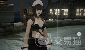 最终幻想14水晶世界如何拍照
