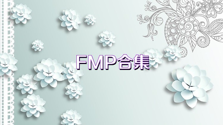 FMP合集