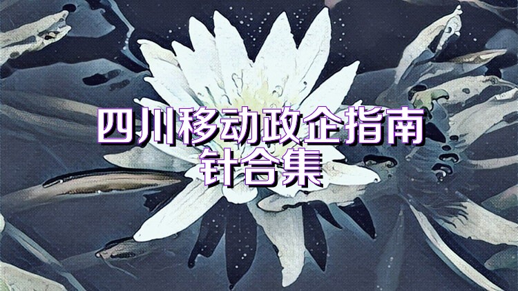 四川移动政企指南针合集