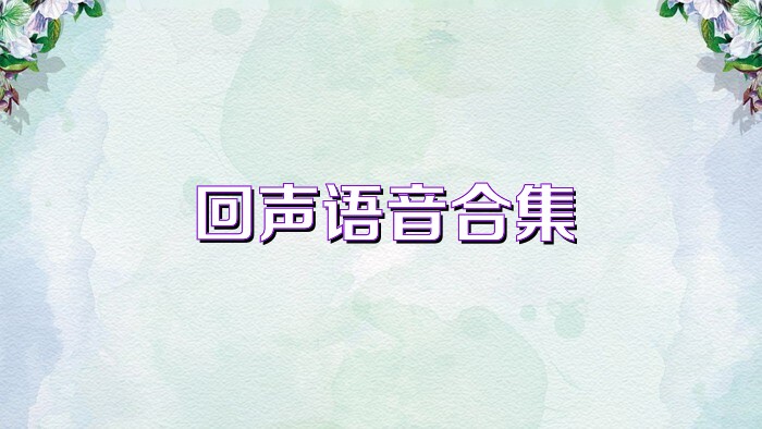 回声语音合集