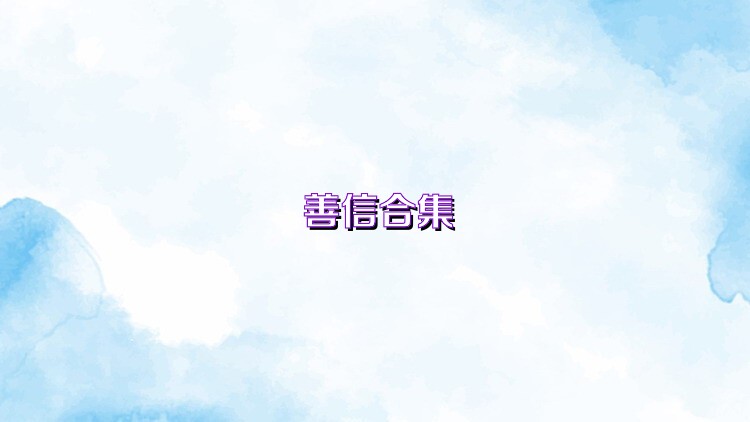 善信合集