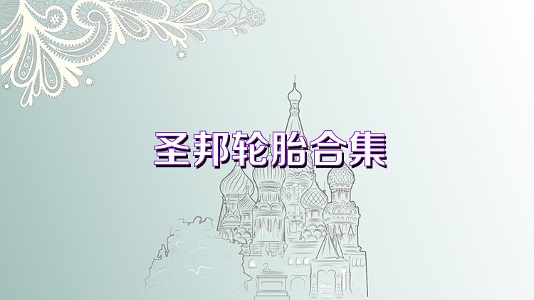 圣邦轮胎合集