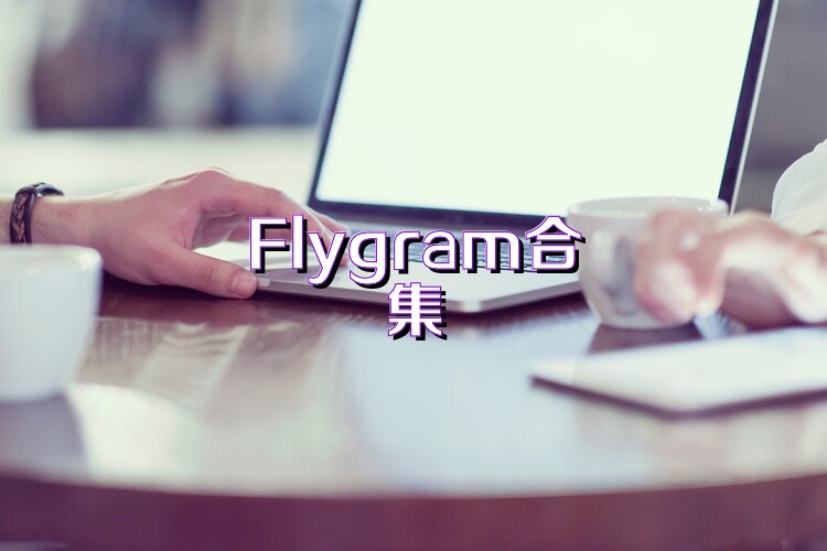 Flygram合集