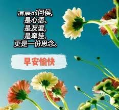 微信早安问候语精选推荐