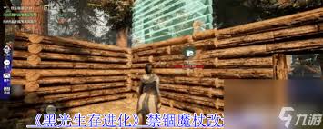 黑光生存进化终结镰刀改造材料是什么