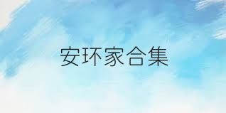 安环家合集