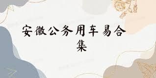 安徽公务用车易合集