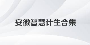 安徽智慧计生合集