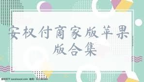安权付商家版苹果版合集