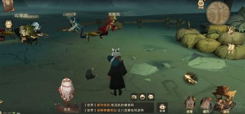 哈利波特魔法觉醒拼图寻宝怎么玩