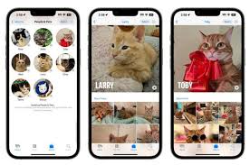 iOS17宠物识别功能无法使用怎么办