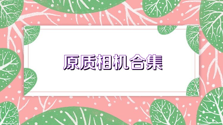 原质相机合集