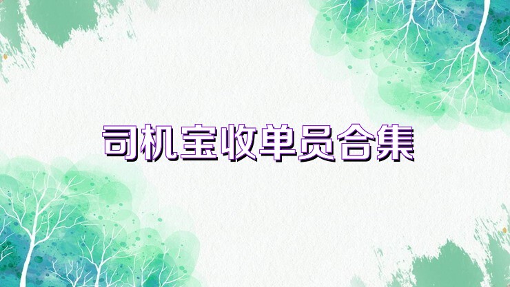 司机宝收单员合集