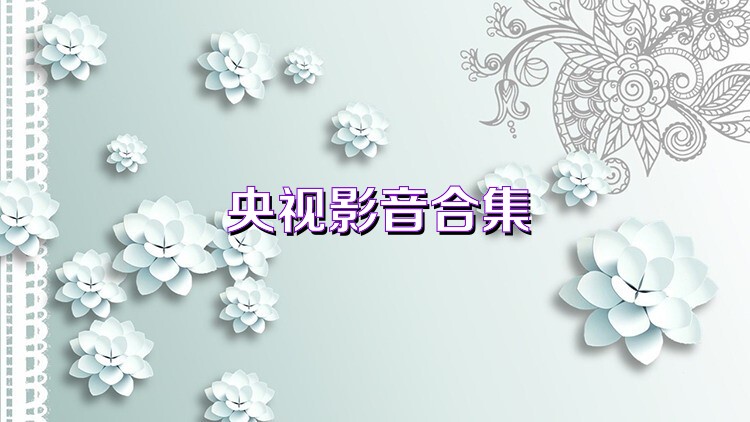 央视影音合集