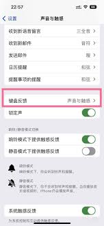 怎样关闭iPhone14键盘按键声音