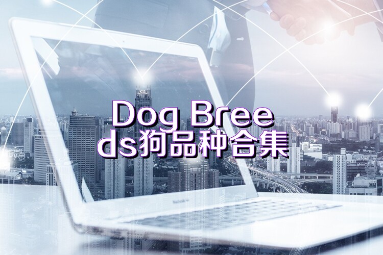 Dog Breeds狗品种合集