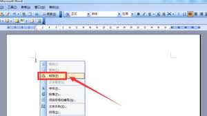 Word怎么整页复制
