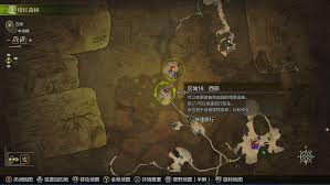 怪物猎人荒野中如何钓到大珍鲈