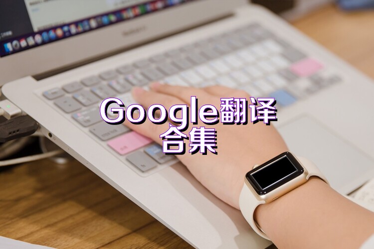 Google翻译合集