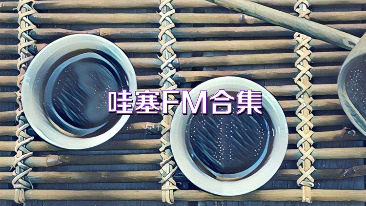 哇塞FM合集