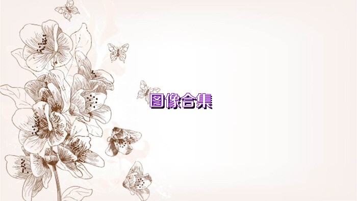 图像合集