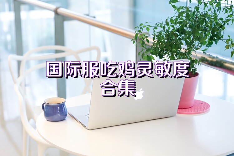 国际服吃鸡灵敏度合集