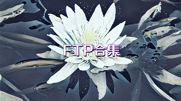 FTP合集