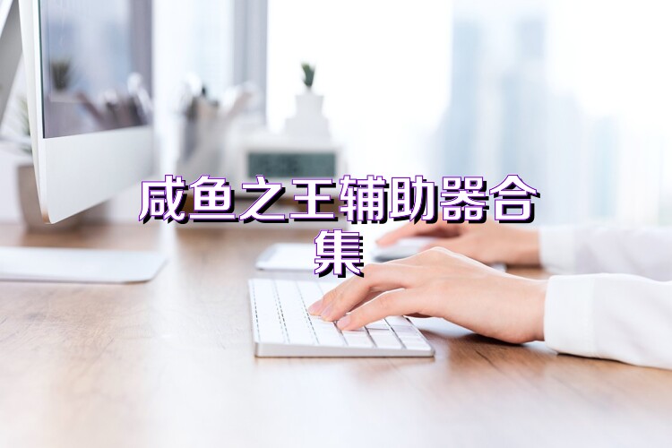 咸鱼之王辅助器合集