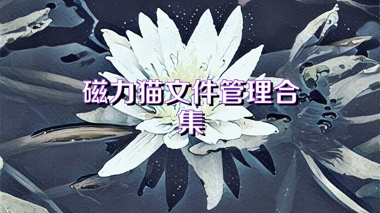 磁力猫文件管理合集