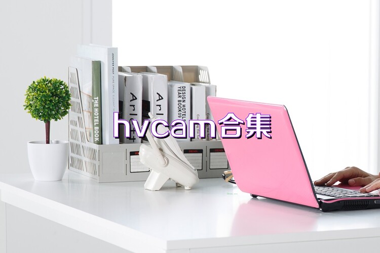 hvcam合集
