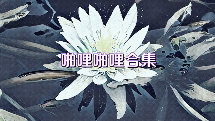 啪哩啪哩合集