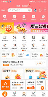 平安好车主app有什么功能