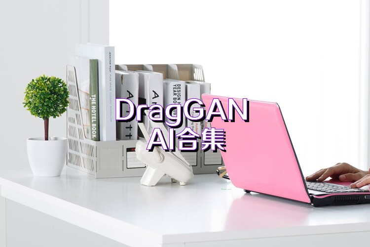 DragGAN AI合集