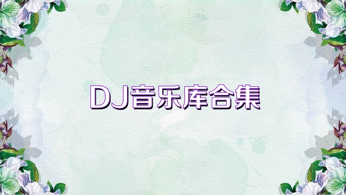 DJ音乐库合集