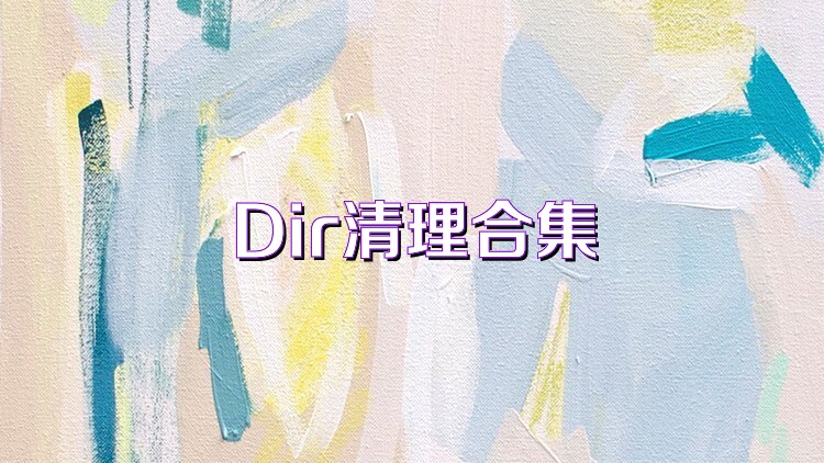Dir清理合集
