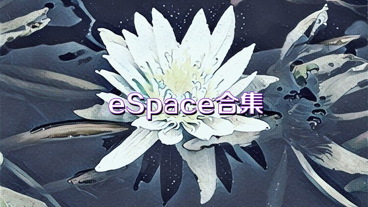 eSpace合集
