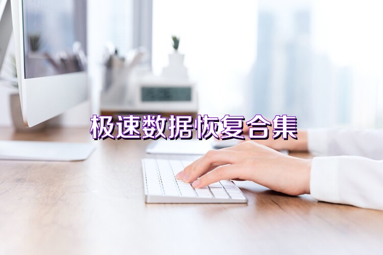 极速数据恢复合集