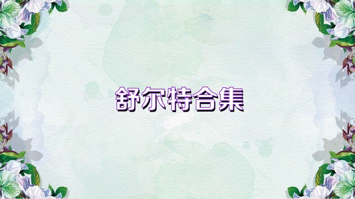 舒尔特合集