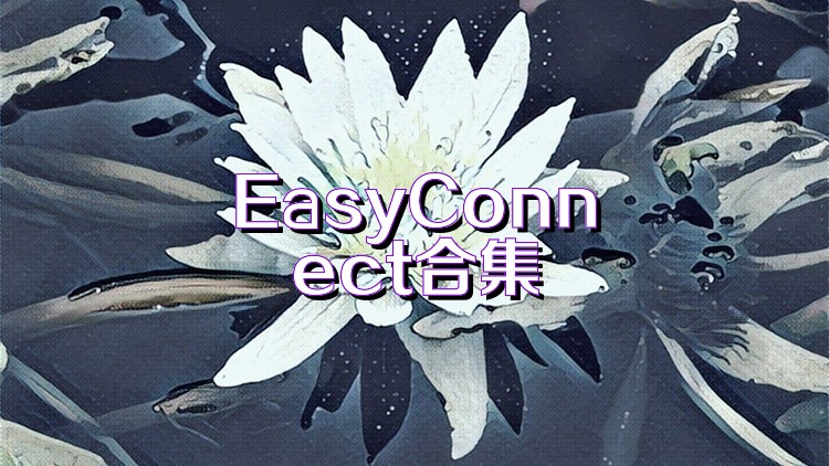 EasyConnect合集